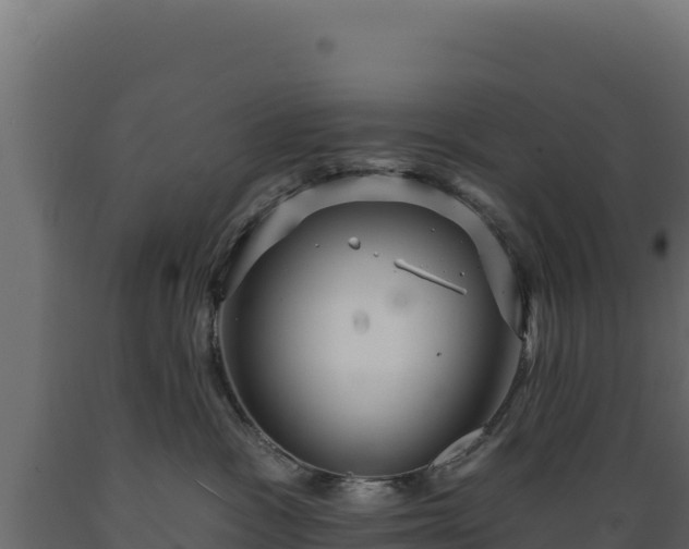 X0000089940333200707061105