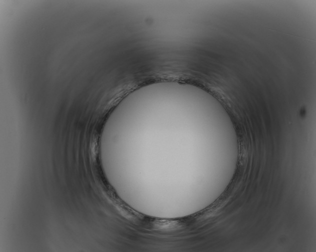 X0000089940334200707061105