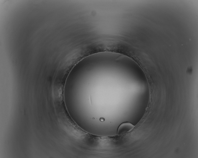 X0000089940336200707061105