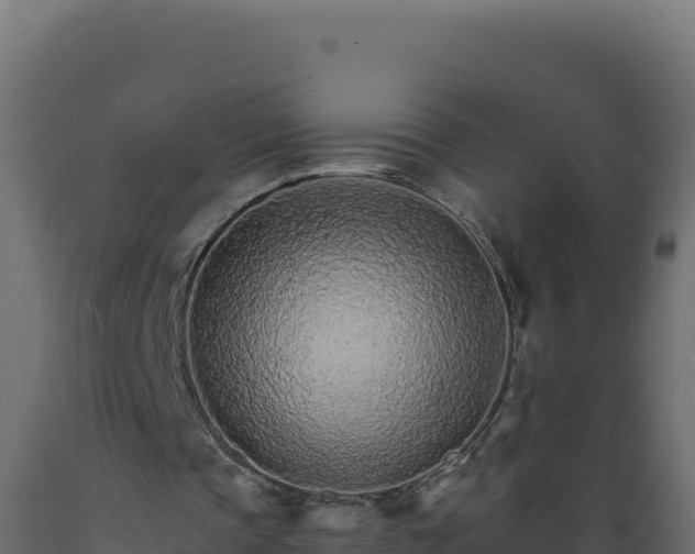 X0000089940337200707061104