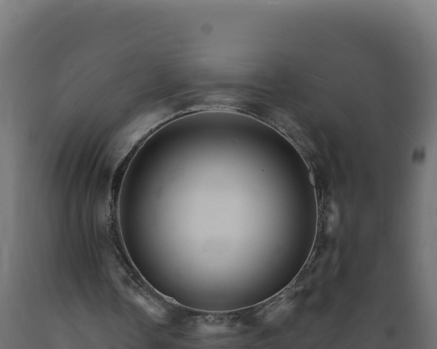 X0000089940338200707061104