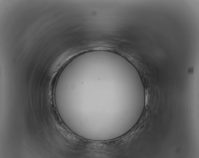 X0000089940339200707061104