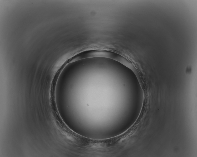 X0000089940340200707061104