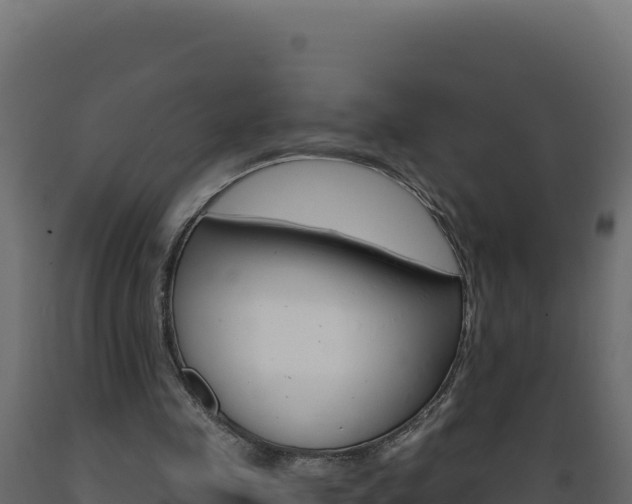 X0000089940341200707061104