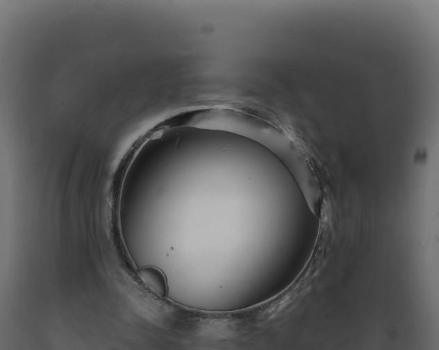 X0000089940342200707061104