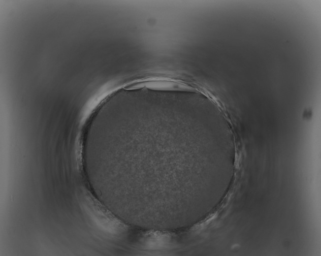 X0000089940343200707061104