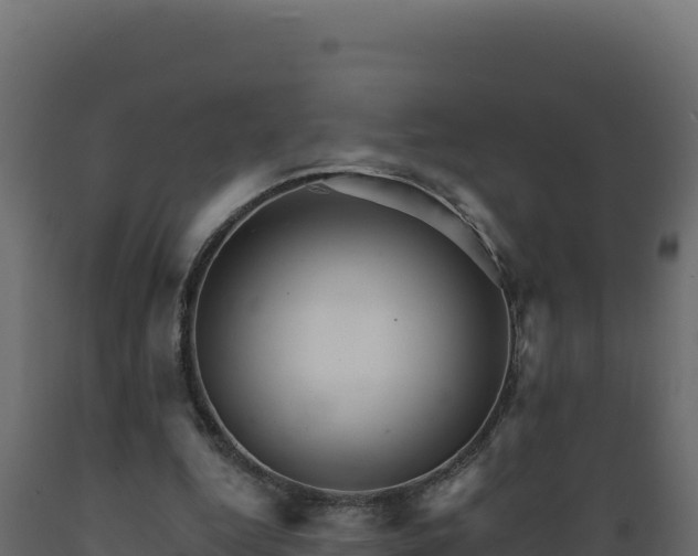 X0000089940344200707061104