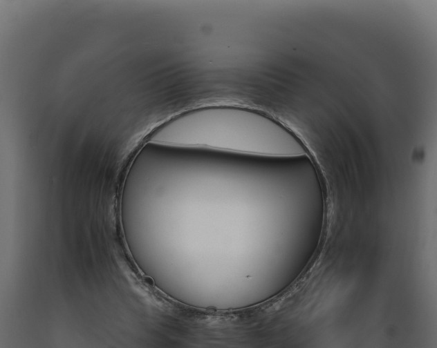 X0000089940345200707061104