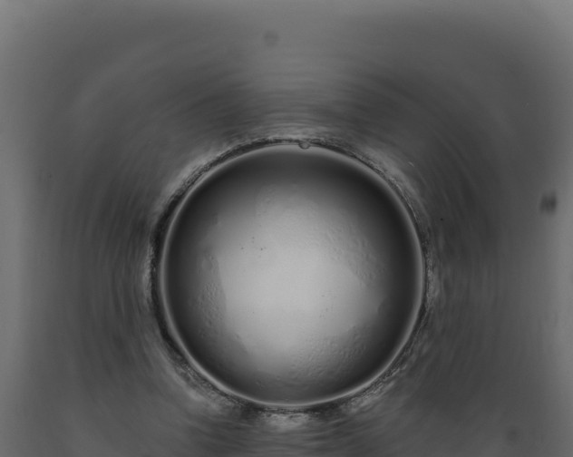 X0000089940346200707061104