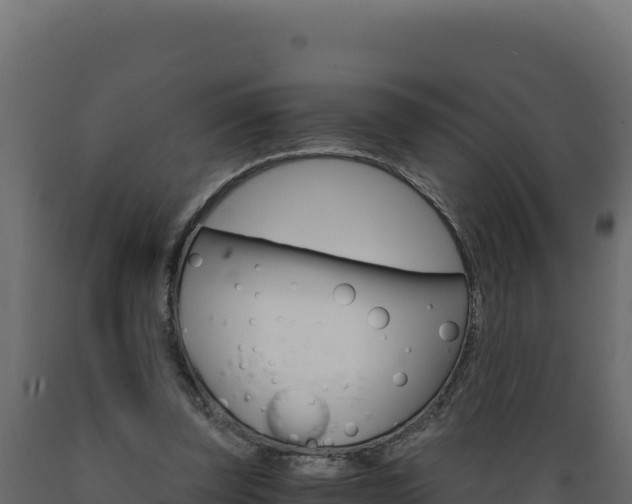 X0000089940347200707061104