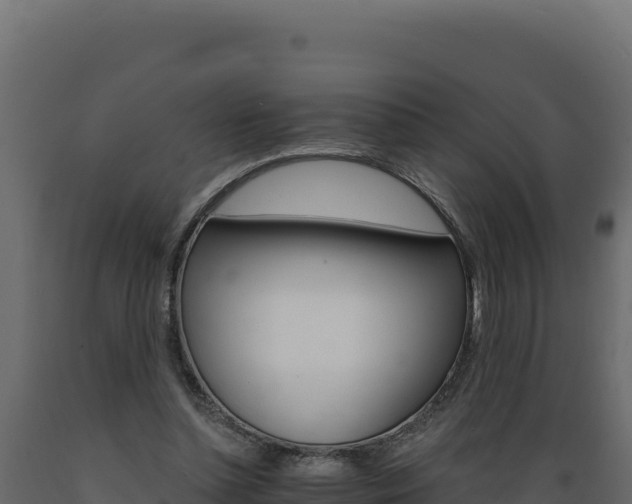 X0000089940348200707061104