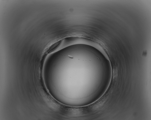 X0000089940349200707061105