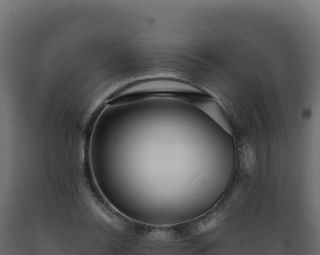 X0000089940350200707061105