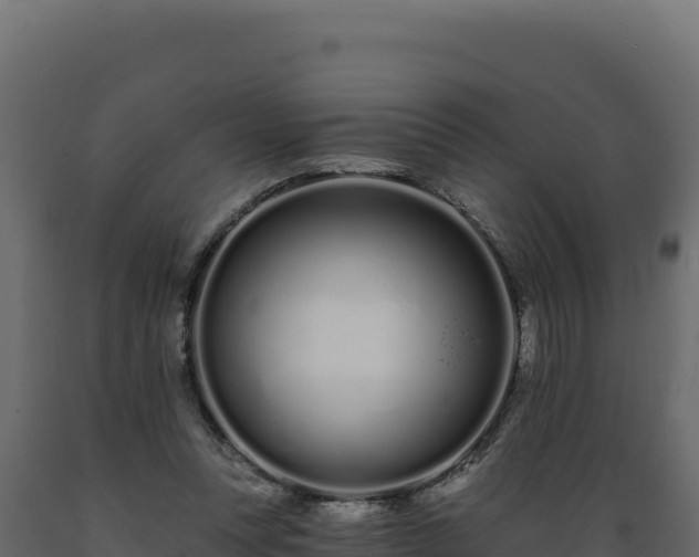 X0000089940351200707061105