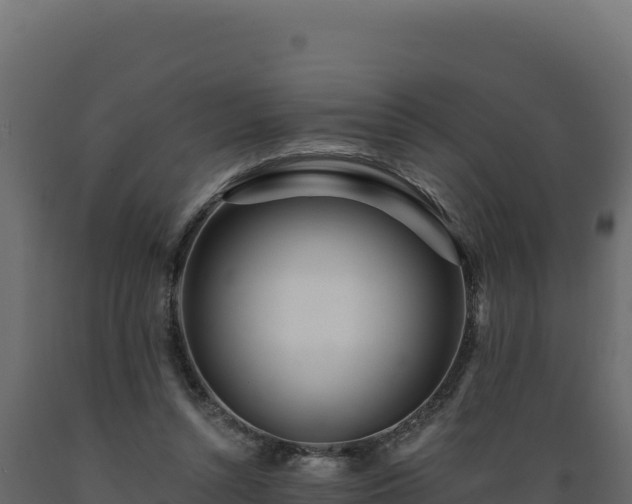 X0000089940352200707061105