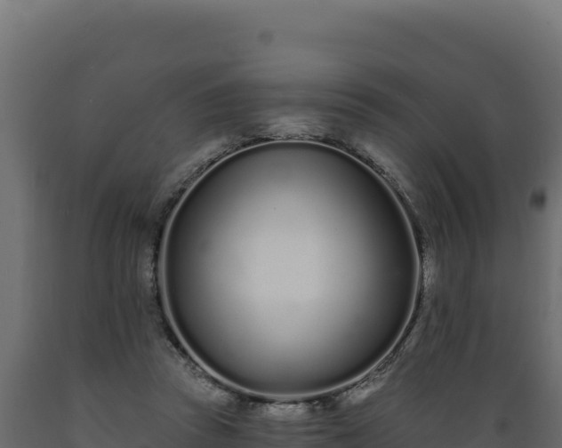 X0000089940353200707061105