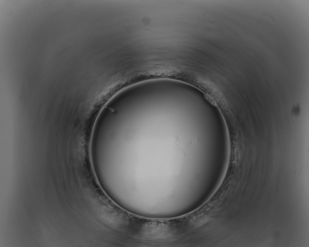 X0000089940354200707061105