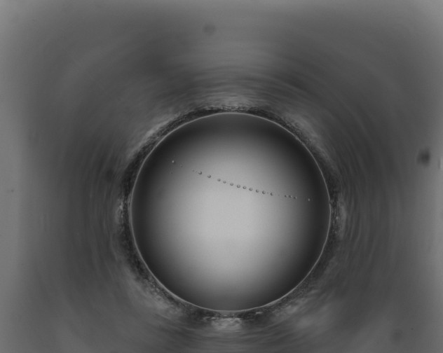 X0000089940355200707061105