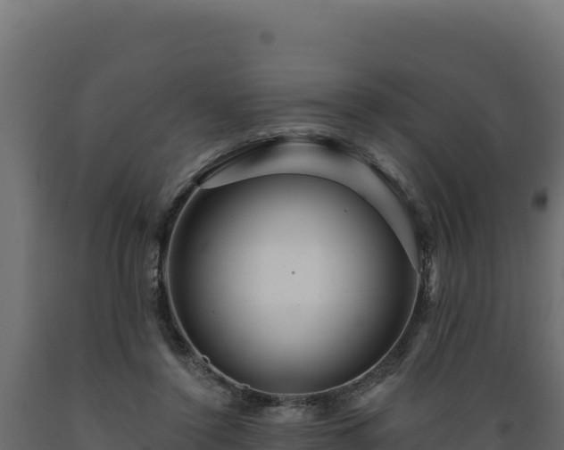 X0000089940356200707061105