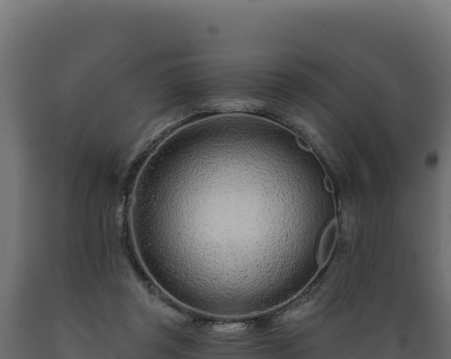 X0000089940357200707061105