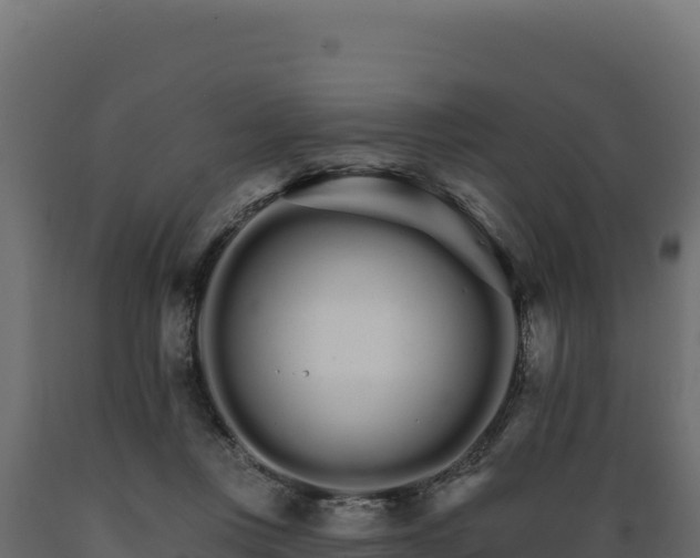 X0000089940359200707061105