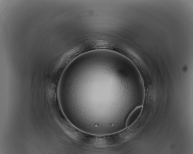 X0000089940361200707061105