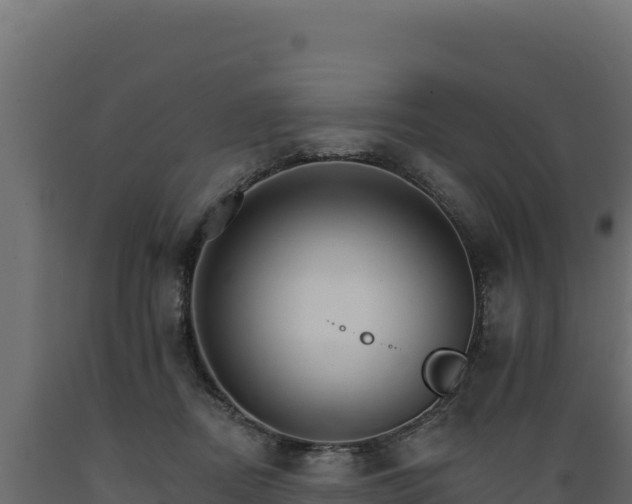 X0000089940362200707061105