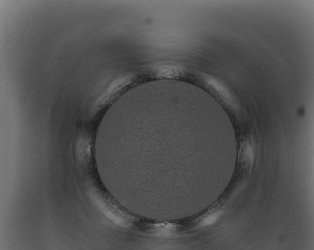 X0000089940363200707061105