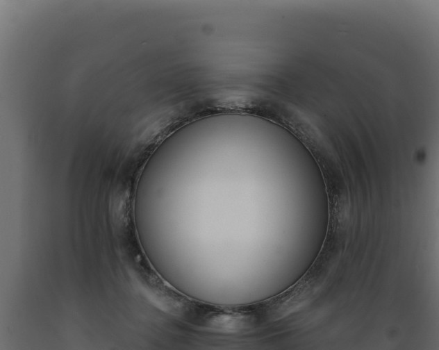 X0000089940364200707061105