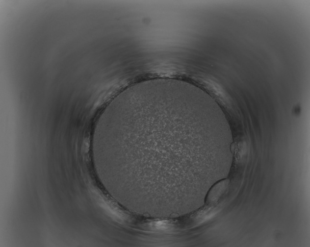 X0000089940365200707061105