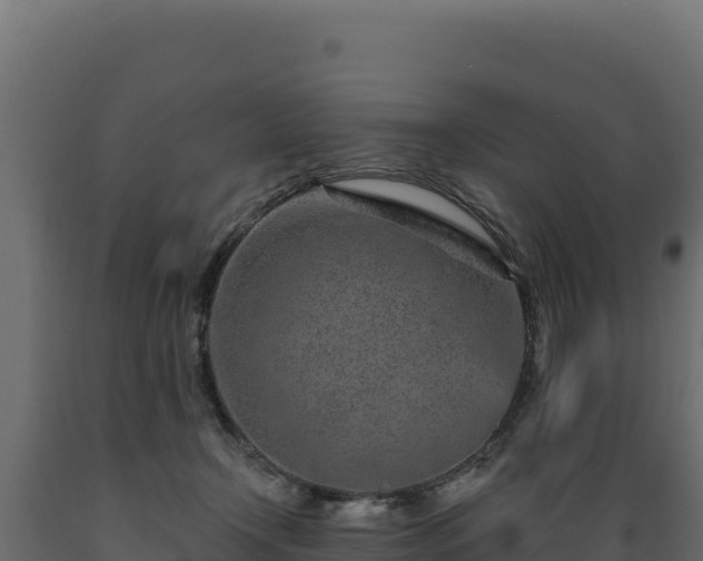 X0000089940366200707061105