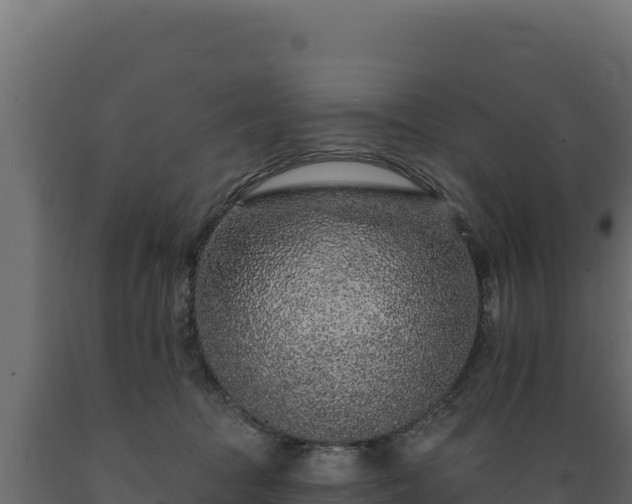 X0000089940369200707061105