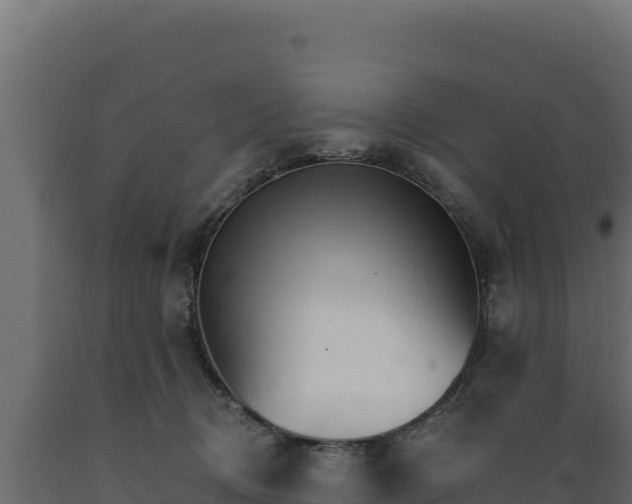 X0000089940370200707061105