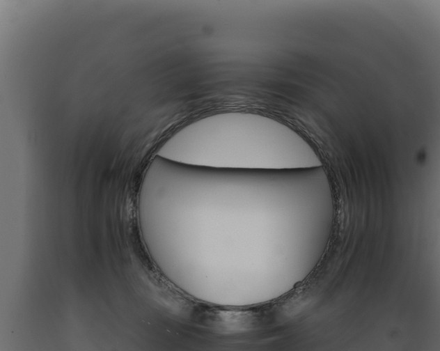 X0000089940371200707061105