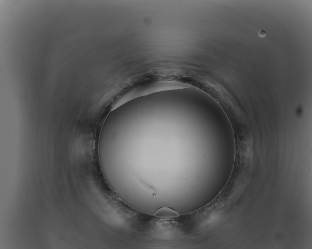 X0000089940372200707061105