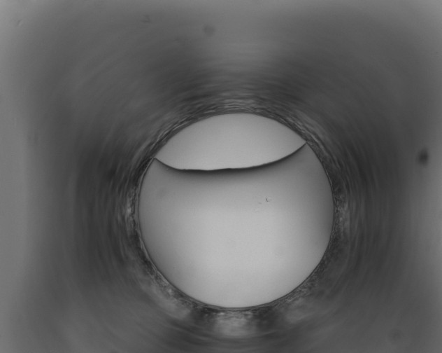 X0000089940373200707061105