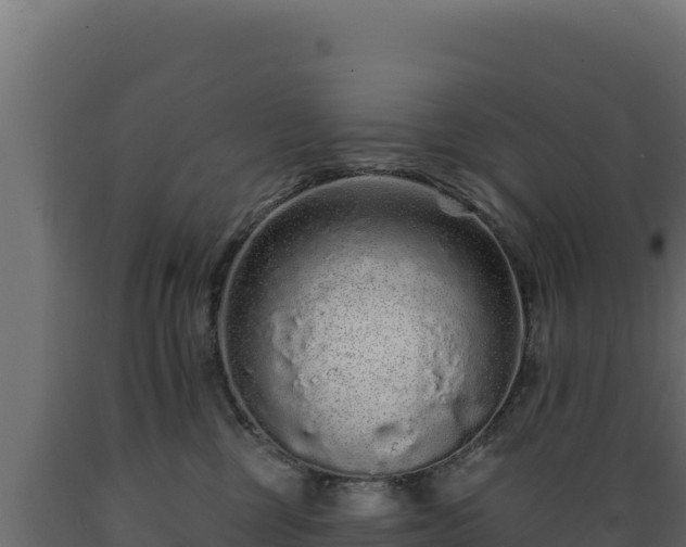 X0000089940377200707061105