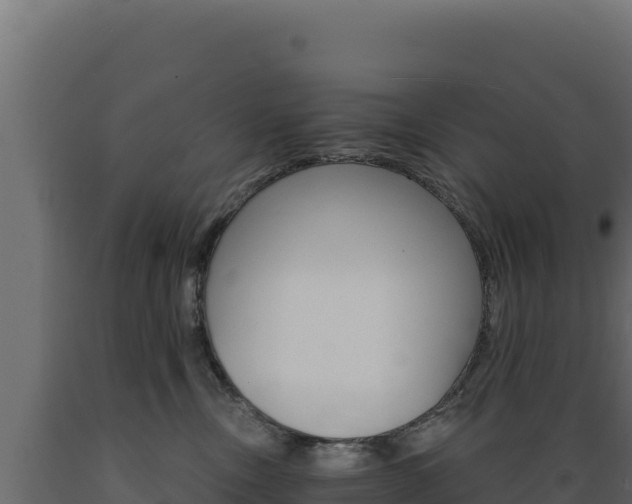 X0000089940378200707061105