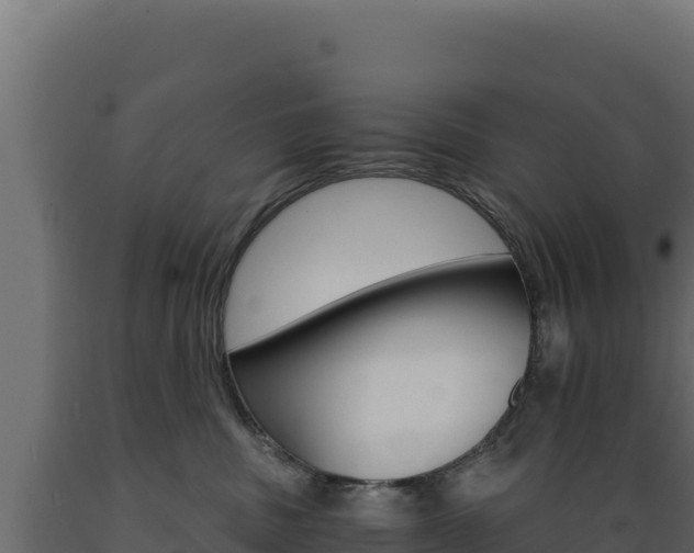 X0000089940379200707061105