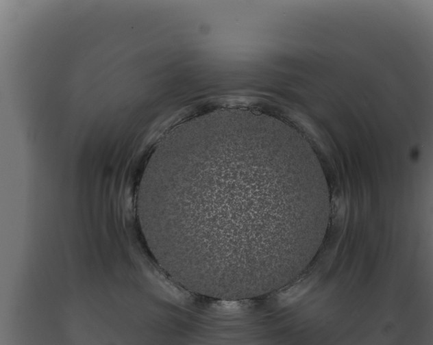 X0000089940381200707061105