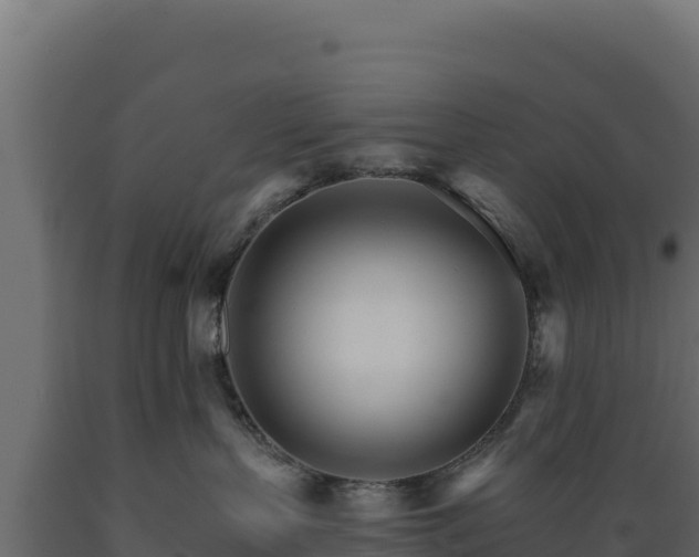 X0000089940383200707061105