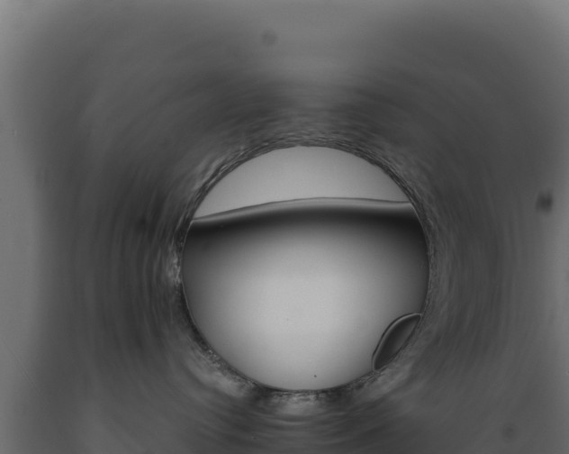 X0000089940384200707061105