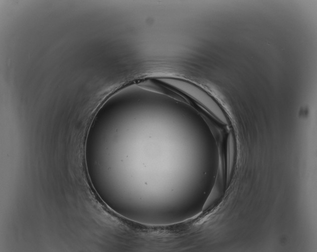 X0000089940385200707061104