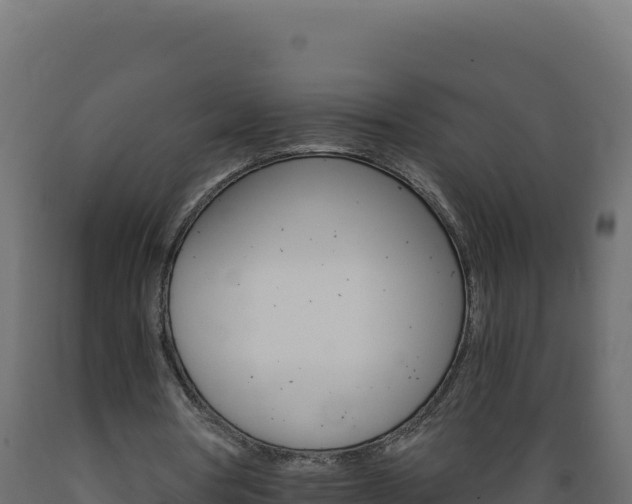 X0000089940386200707061104