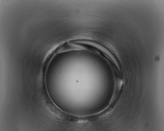 X0000089940388200707061104