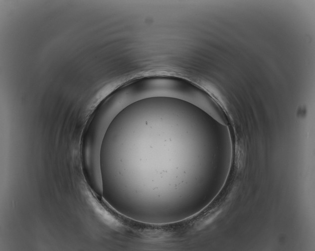 X0000089940389200707061104