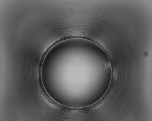 X0000089940390200707061104