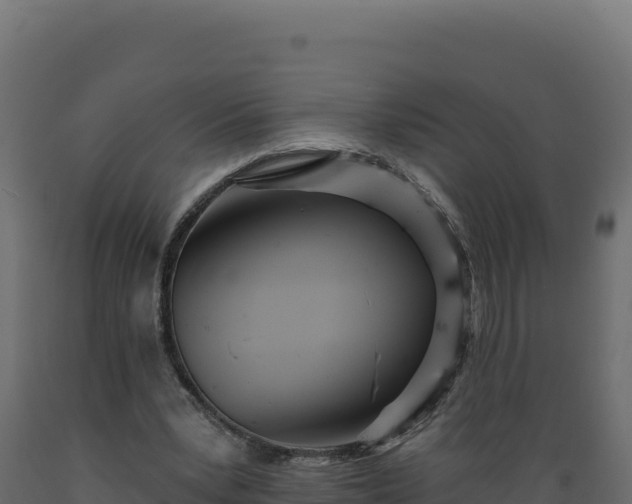 X0000089940391200707061104