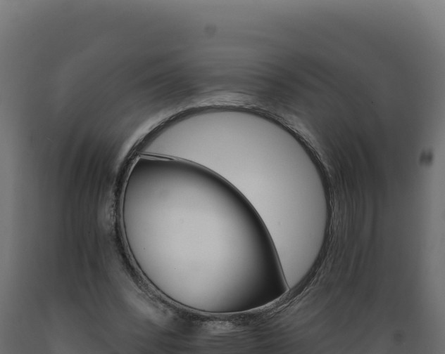 X0000089940392200707061104