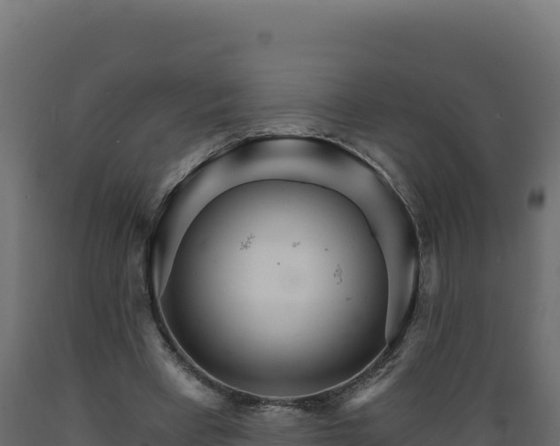 X0000089940393200707061104